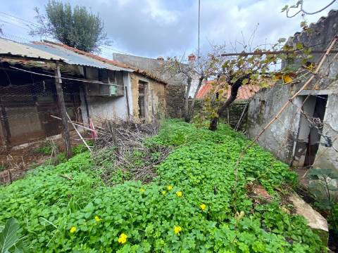 Ruína para recuperar em Santa Luzia concelho de Ourique