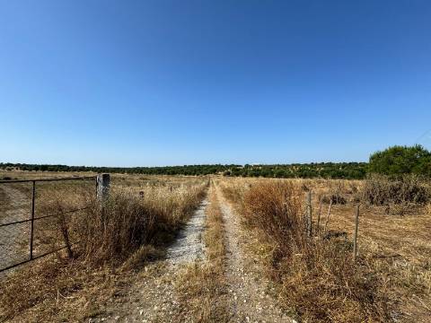 Herdade na Aldeia de Alcarias, Concelho de Ourique