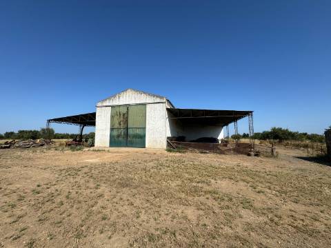 Herdade na Aldeia de Alcarias, Concelho de Ourique