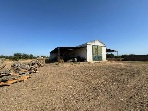 Herdade na Aldeia de Alcarias, Concelho de Ourique