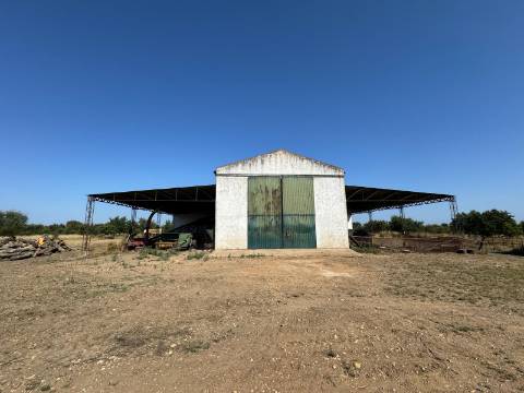 Herdade na Aldeia de Alcarias, Concelho de Ourique
