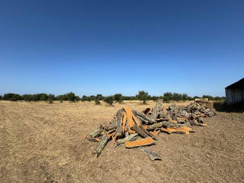 Herdade na Aldeia de Alcarias, Concelho de Ourique