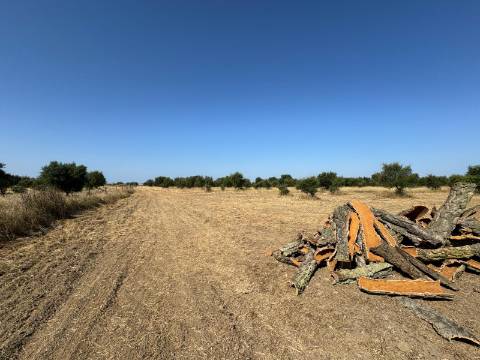 Herdade na Aldeia de Alcarias, Concelho de Ourique