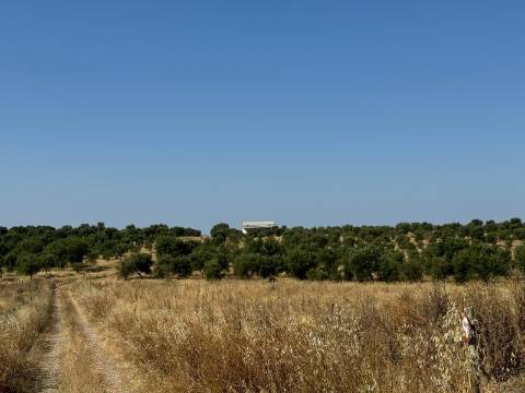 Herdade na Aldeia de Alcarias, Concelho de Ourique