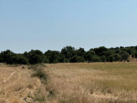 Herdade na Aldeia de Alcarias, Concelho de Ourique