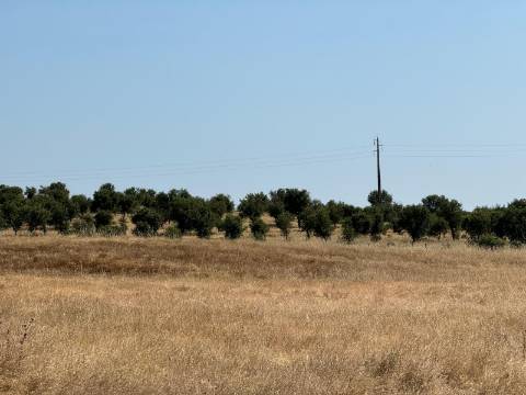 Herdade na Aldeia de Alcarias, Concelho de Ourique