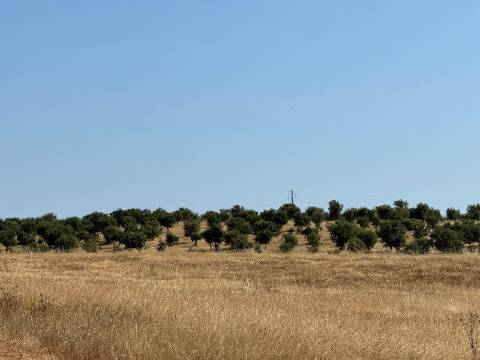 Herdade na Aldeia de Alcarias, Concelho de Ourique