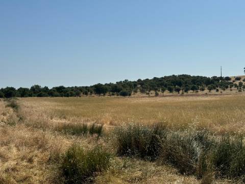 Herdade na Aldeia de Alcarias, Concelho de Ourique