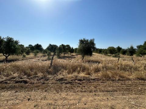 Herdade na Aldeia de Alcarias, Concelho de Ourique