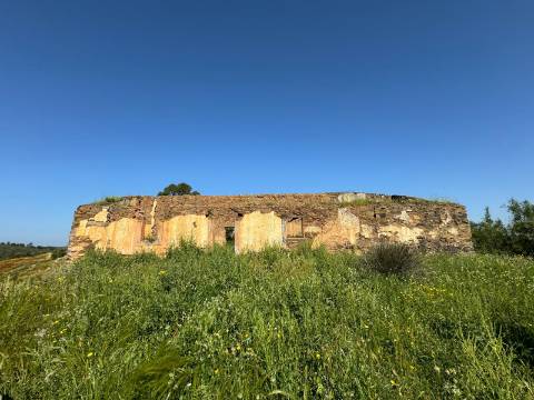 Herdade com 16,8 hectares com Ruína - Ourique - Barragem de Santa Clara
