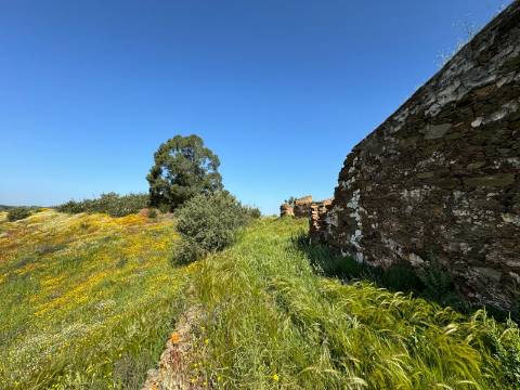 Herdade com 16,8 hectares com Ruína - Ourique - Barragem de Santa Clara