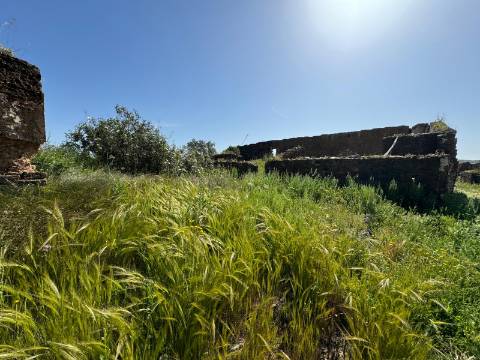 Herdade com 16,8 hectares com Ruína - Ourique - Barragem de Santa Clara