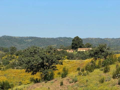 Herdade com 16,8 hectares com Ruína - Ourique - Barragem de Santa Clara