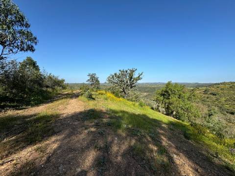 Herdade com 16,8 hectares com Ruína - Ourique - Barragem de Santa Clara