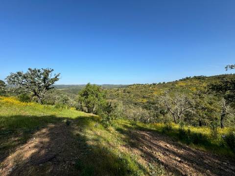Herdade com 16,8 hectares com Ruína - Ourique - Barragem de Santa Clara