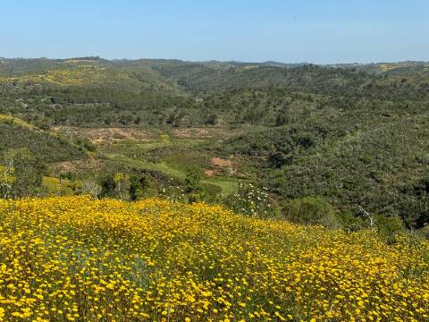 Herdade com 16,8 hectares com Ruína - Ourique - Barragem de Santa Clara