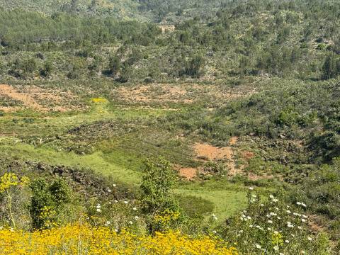 Herdade com 16,8 hectares com Ruína - Ourique - Barragem de Santa Clara