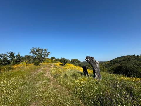 Herdade com 16,8 hectares com Ruína - Ourique - Barragem de Santa Clara