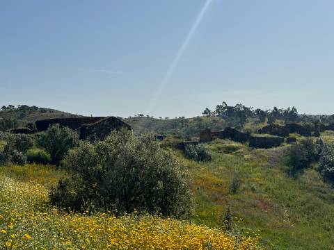 Herdade com 16,8 hectares com Ruína - Ourique - Barragem de Santa Clara
