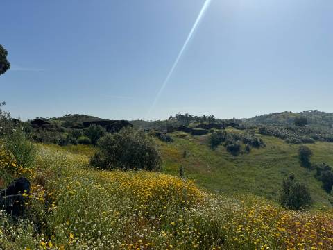Herdade com 16,8 hectares com Ruína - Ourique - Barragem de Santa Clara