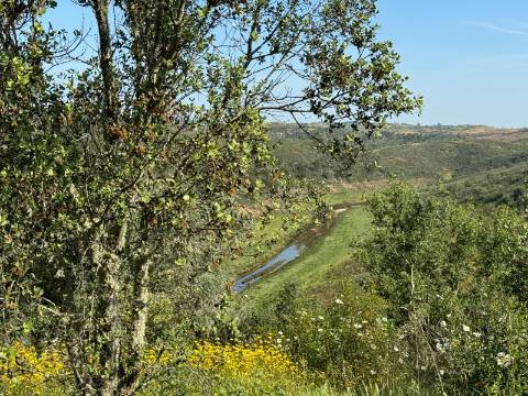 Herdade com 16,8 hectares com Ruína - Ourique - Barragem de Santa Clara