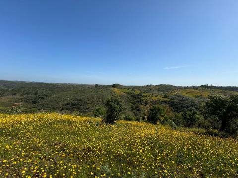 Herdade com 16,8 hectares com Ruína - Ourique - Barragem de Santa Clara