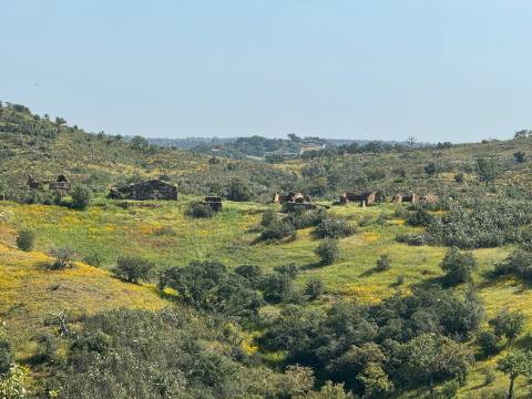 Herdade com 16,8 hectares com Ruína - Ourique - Barragem de Santa Clara