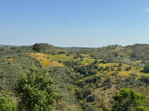 Herdade com 16,8 hectares com Ruína - Ourique - Barragem de Santa Clara