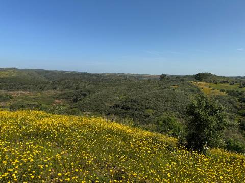 Herdade com 16,8 hectares com Ruína - Ourique - Barragem de Santa Clara