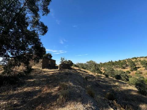 Prédio Misto em Almodôvar - 27 Hectares com Potencial Agrícola e Vista Deslumbrante