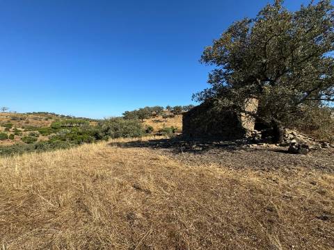 Prédio Misto em Almodôvar - 27 Hectares com Potencial Agrícola e Vista Deslumbrante