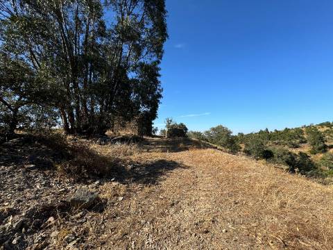 Prédio Misto em Almodôvar - 27 Hectares com Potencial Agrícola e Vista Deslumbrante
