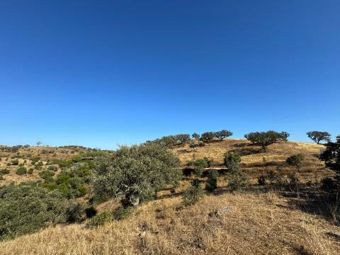 Prédio Misto em Almodôvar - 27 Hectares com Potencial Agrícola e Vista Deslumbrante