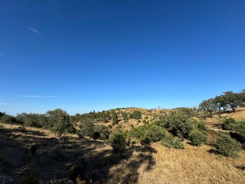 Prédio Misto em Almodôvar - 27 Hectares com Potencial Agrícola e Vista Deslumbrante