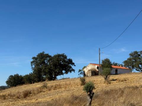 Herdade com dois Montes Alentejanos para Recuperar