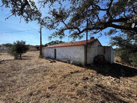 Herdade com dois Montes Alentejanos para Recuperar