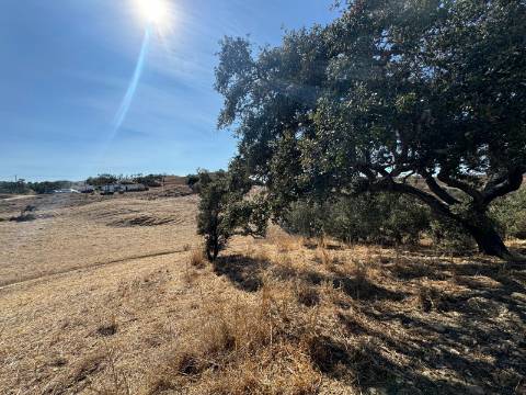 Herdade com dois Montes Alentejanos para Recuperar