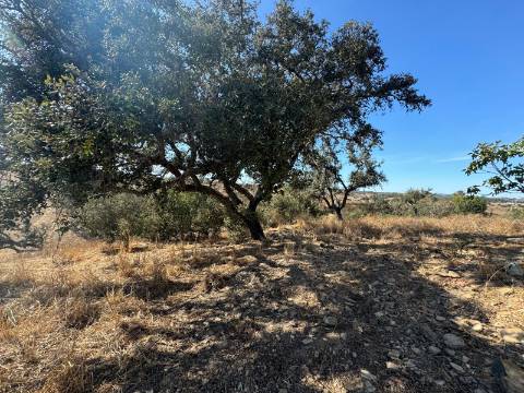 Herdade com dois Montes Alentejanos para Recuperar