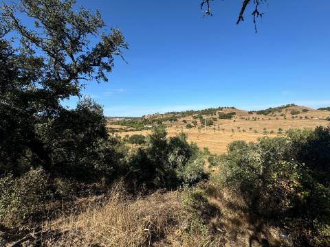 Herdade com dois Montes Alentejanos para Recuperar