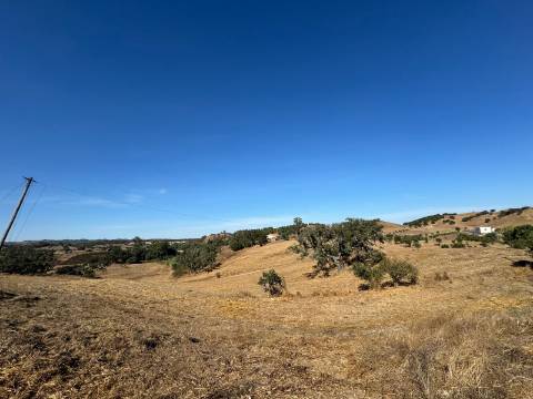 Herdade com dois Montes Alentejanos para Recuperar