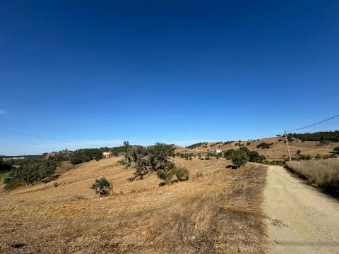Herdade com dois Montes Alentejanos para Recuperar