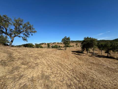 Herdade com dois Montes Alentejanos para Recuperar
