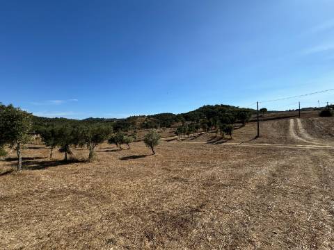Herdade com dois Montes Alentejanos para Recuperar