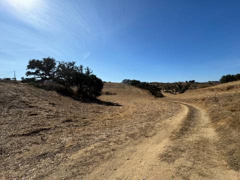 Herdade com dois Montes Alentejanos para Recuperar