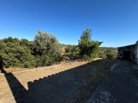 Montes Alentejanos para Recuperar