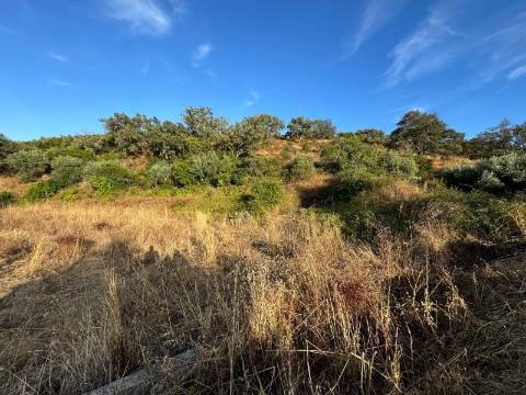 Montes Alentejanos para Recuperar