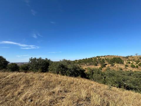 Montes Alentejanos para Recuperar