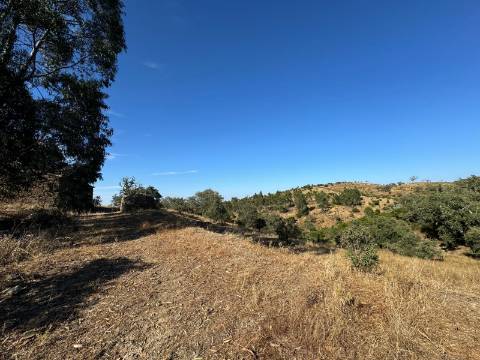 Montes Alentejanos para Recuperar