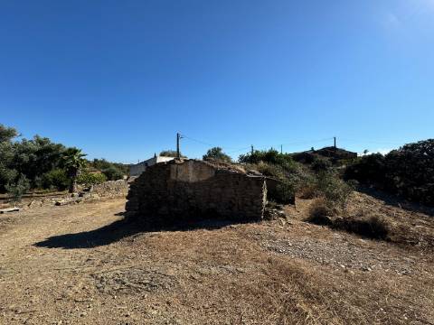 Montes Alentejanos para Recuperar