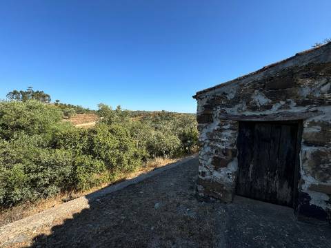 Montes Alentejanos para Recuperar